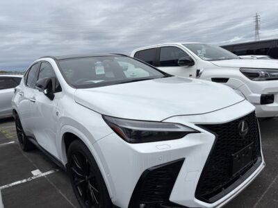 NX 350h