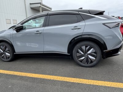 Leaf ZE1